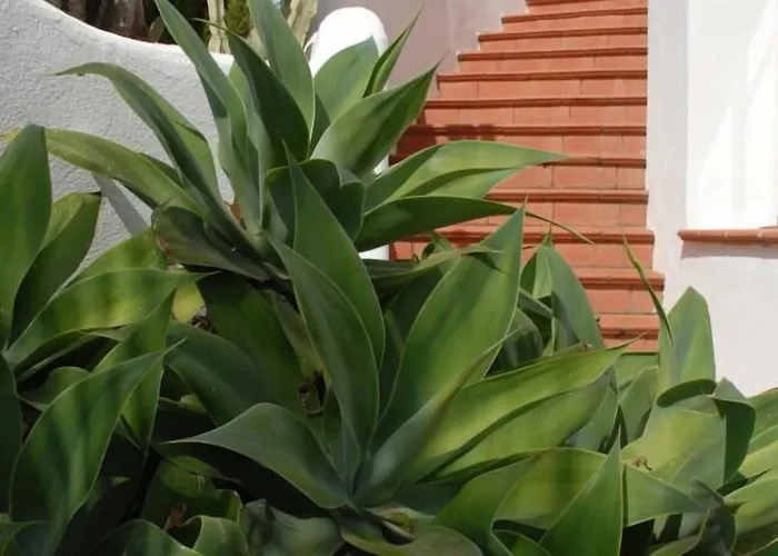 Pensionat La Azzurra 3*