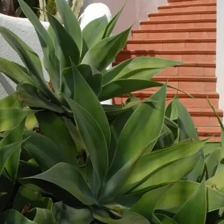 Guest house La Azzurra 3*